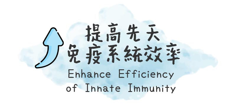 vitamin d function - enhance efficiency of innate immunity