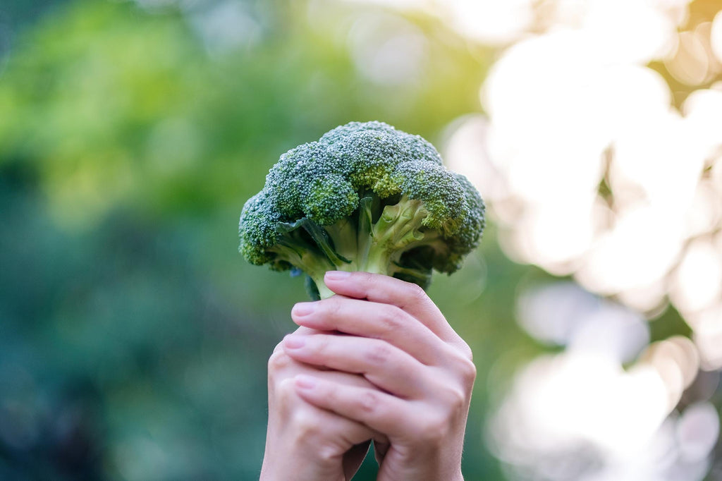 hand holding broccoli