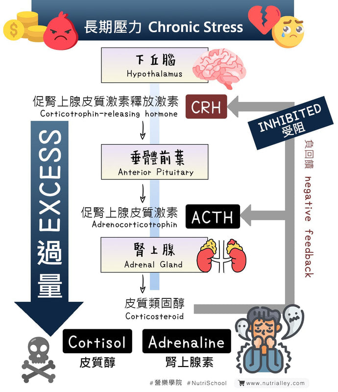 chronic stress reaction toxic chemicals