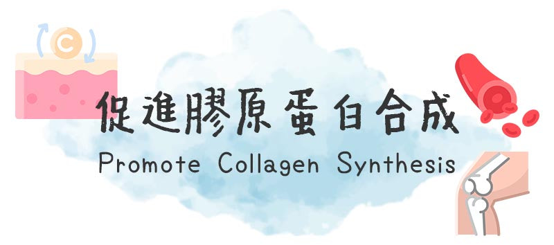 vitamin C function - promote collagen synthesis